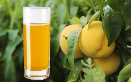 荆楚三湖黄桃
