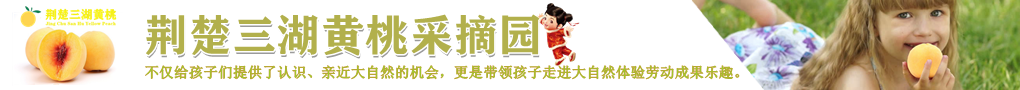 荆楚三湖黄桃官网